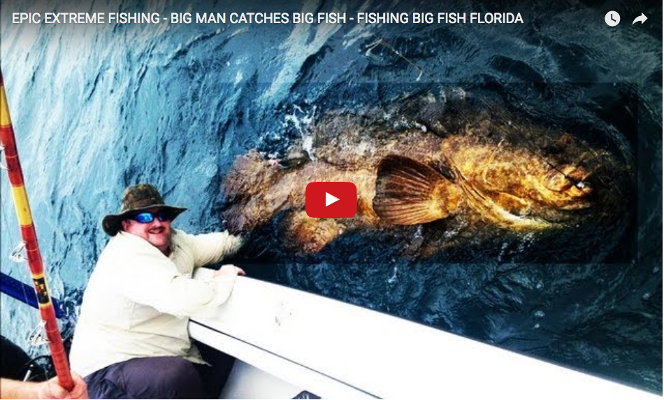 Extreme Fishing: watch how to catch a 225 Kg grouper in this video