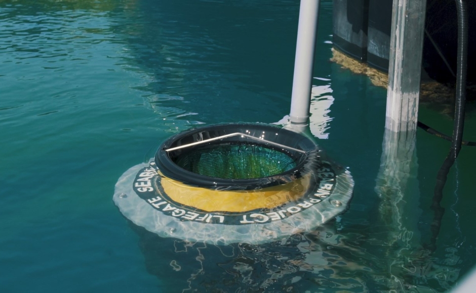 The Italian port of Marina di Varazze adopts Seabin