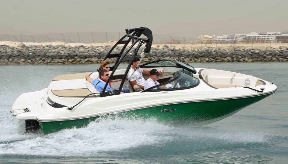 Mercruiser 4.5L 200 HP - Sea Ray 19 SPX: who’s better?